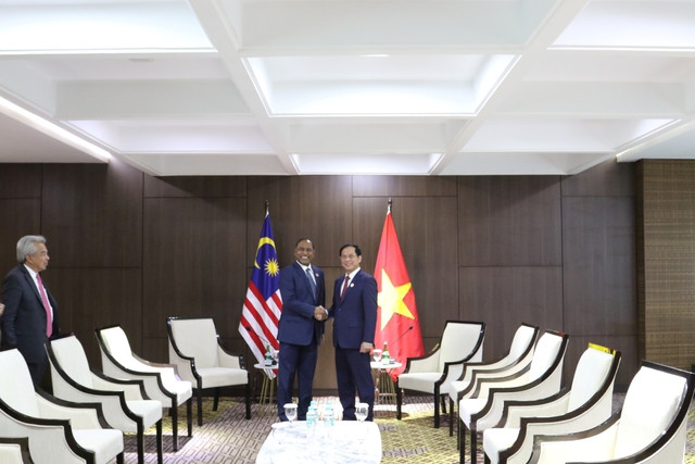 Vietnam patentiza esfuerzos por fomentar lazos con países en región ảnh 3 Vietnam patentiza esfuerzos por fomentar lazos con países en región ảnh 3