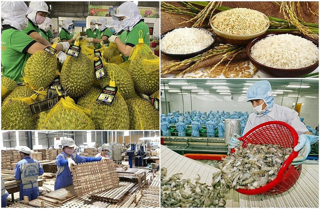 Vietnam promueve aplicación de tecnología para agricultura sostenible ảnh 2 Vietnam promueve aplicación de tecnología para agricultura sostenible ảnh 2