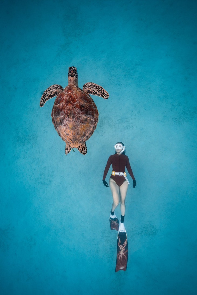 Fotógrafo vietnamita gana prestigioso concurso de fotografía internacional ảnh 1 Fotógrafo vietnamita gana prestigioso concurso de fotografía internacional ảnh 1