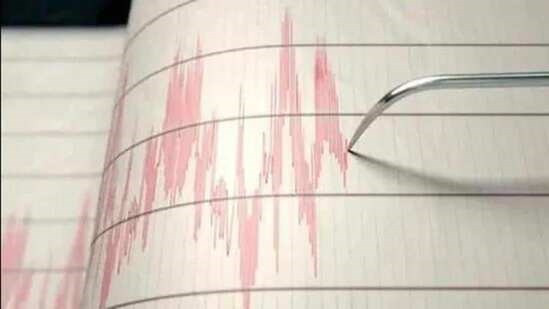 Terremoto de magnitud 5,5 sacude Indonesia ảnh 1