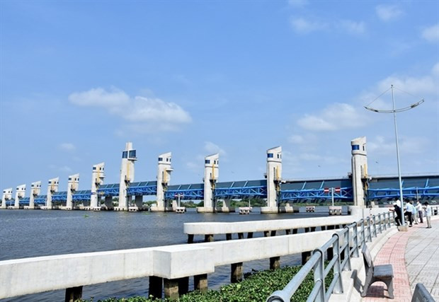 Intrusión de agua salada empeora en el delta del Mekong ảnh 1