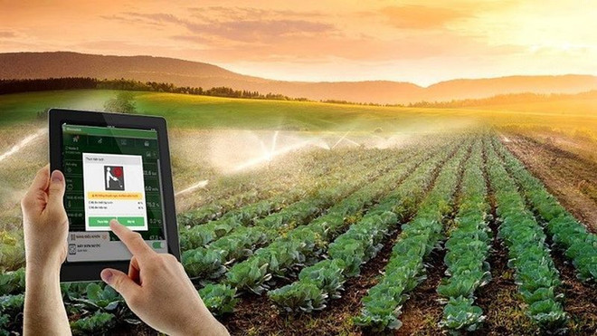 Vietnam promueve aplicación de tecnología para agricultura sostenible ảnh 1 Vietnam promueve aplicación de tecnología para agricultura sostenible ảnh 1