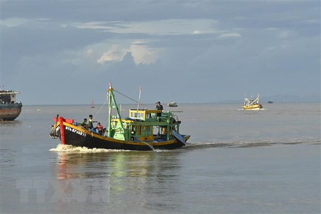 Provincia vietnamita de Binh Thuan refuerza lucha contra pesca ilegal ảnh 1 Provincia vietnamita de Binh Thuan refuerza lucha contra pesca ilegal ảnh 1