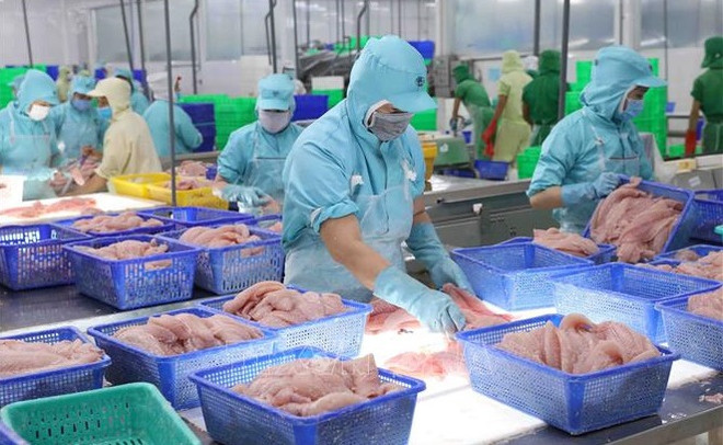 Exportadoras de productos acuícolas vietnamitas muestran expectativas de recuperación ảnh 1 Exportadoras de productos acuícolas vietnamitas muestran expectativas de recuperación ảnh 1