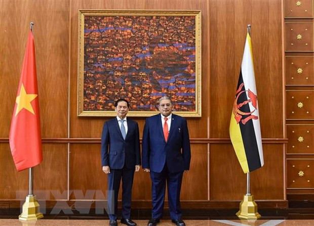 Elevan nivel cooperativo de Vietnam con Singapur y Brunei ảnh 2 Elevan nivel cooperativo de Vietnam con Singapur y Brunei ảnh 2