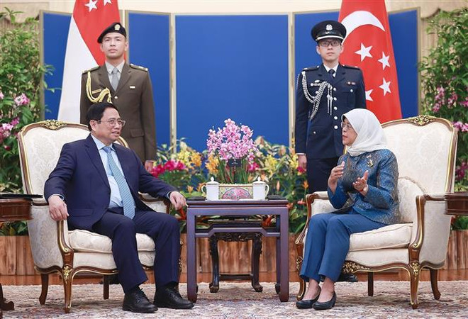 Presidenta singapurense destaca significado de visita del premier vietnamita ảnh 2 Presidenta singapurense destaca significado de visita del premier vietnamita ảnh 2