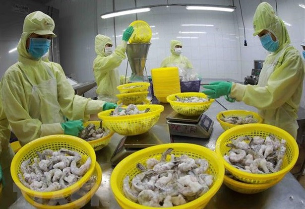 Próxima visita de premier vietnamita abre oportunidades de cooperación con Brunei ảnh 1