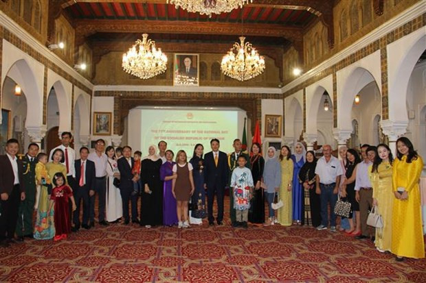 Vietnam confía en crecimiento futuro de relaciones con Argelia, según embajador ảnh 2 Vietnam confía en crecimiento futuro de relaciones con Argelia, según embajador ảnh 2