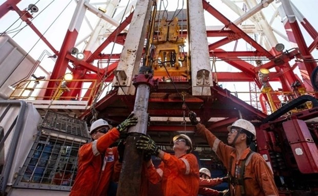 PVN firme en su desarrollo ảnh 1 PVN firme en su desarrollo ảnh 1