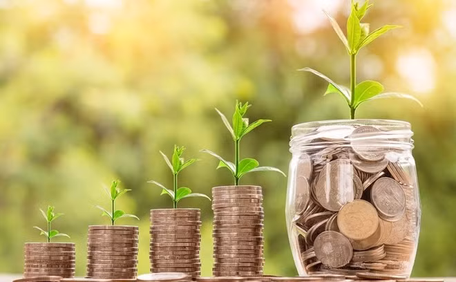 Vietnam promueve inversiones para el crecimiento verde ảnh 1