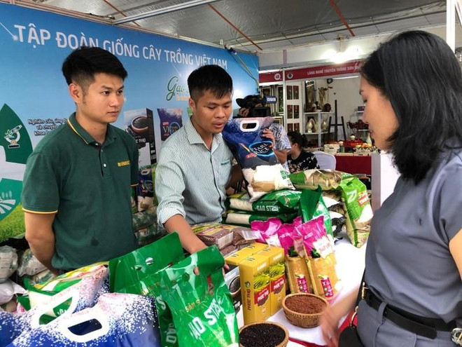Lanzan en Hanoi Semana de Productos nacionales ảnh 1