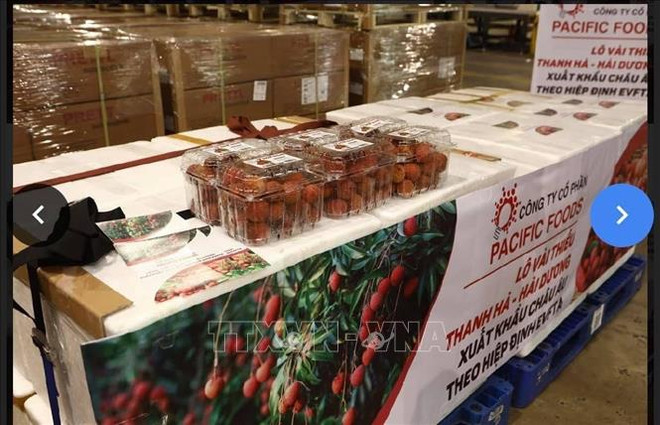 Notifican a empresas vietnamitas sobre normativas de exportación al mercado nórdico ảnh 1 Notifican a empresas vietnamitas sobre normativas de exportación al mercado nórdico ảnh 1