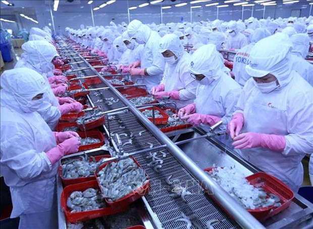 Ventas de productos acuáticos de Vietnam a Rusia registran fuerte repunte ảnh 1 Ventas de productos acuáticos de Vietnam a Rusia registran fuerte repunte ảnh 1
