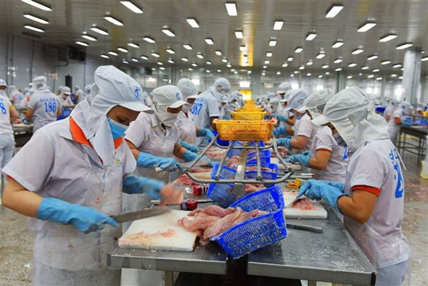 Estados Unidos mantiene tasa del impuesto antidumping para pescados vietnamitas ảnh 1