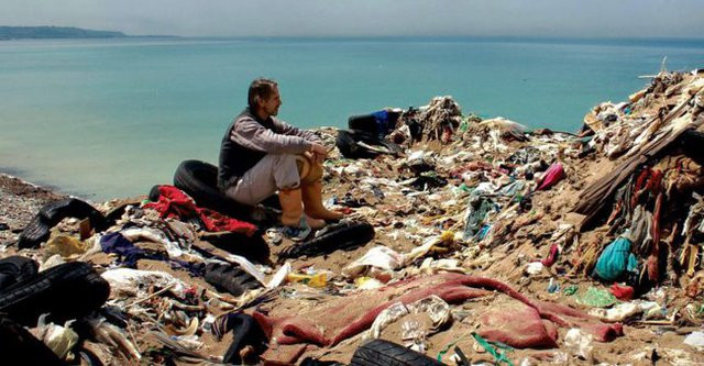 Organizarán Festival de cine sobre naturaleza en Vietnam ảnh 1