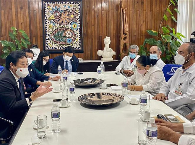 Provincia vietnamita busca oportunidades de cooperación e inversión con Cuba ảnh 1 Provincia vietnamita busca oportunidades de cooperación e inversión con Cuba ảnh 1