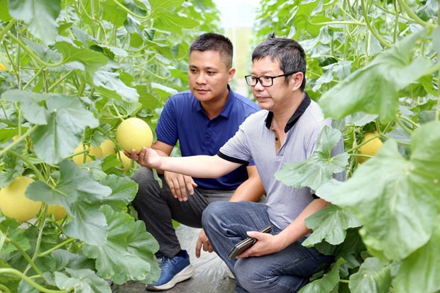 Provincia de Tuyen Quang impulsa desarrollo comercial en áreas montañosas y remotas ảnh 1 Provincia de Tuyen Quang impulsa desarrollo comercial en áreas montañosas y remotas ảnh 1