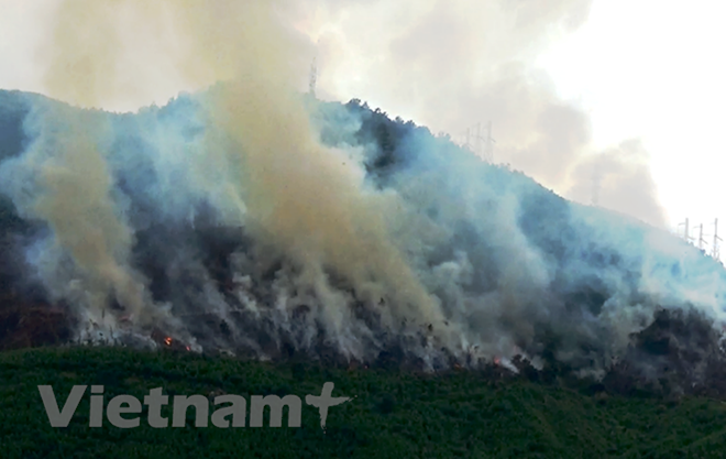 Alemania asiste a Vietnam en respuesta al cambio climático ảnh 1 Alemania asiste a Vietnam en respuesta al cambio climático ảnh 1