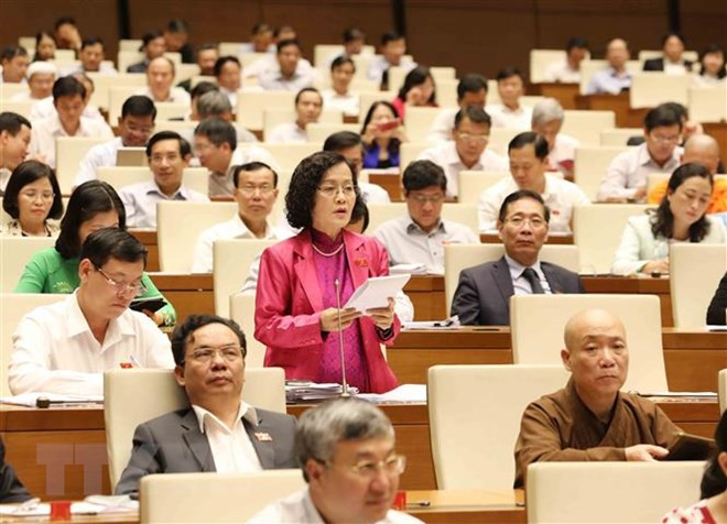 Electores vietnamitas proponen priorizar recursos para el desarrollo ảnh 1