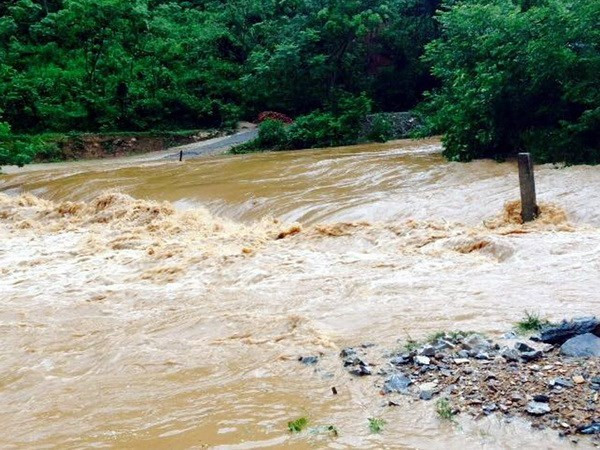  Víctimas fatales de riadas en Norte suman 25 personas ảnh 1