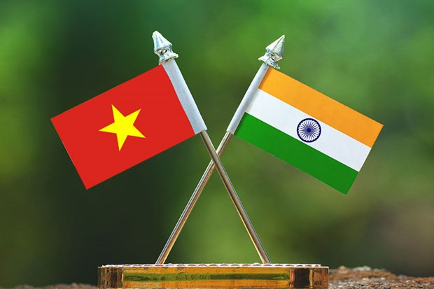 Celebran en Can Tho 55 aniversario de relaciones diplomáticas entre Vietnam y la India ảnh 1