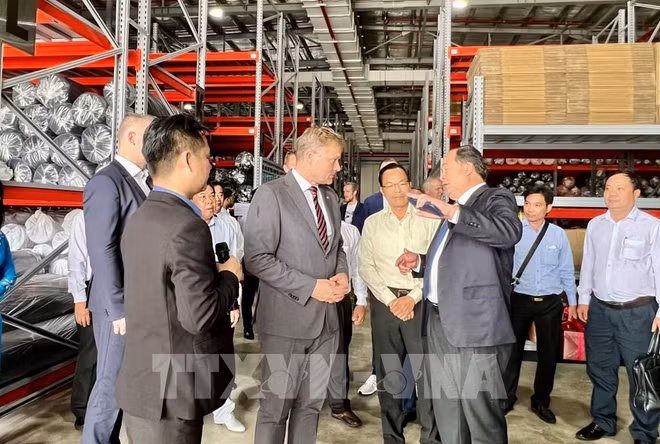 An Giang inaugura fábrica de prendas con inversión extranjera ảnh 3