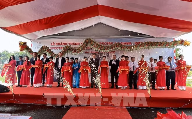 An Giang inaugura fábrica de prendas con inversión extranjera ảnh 1