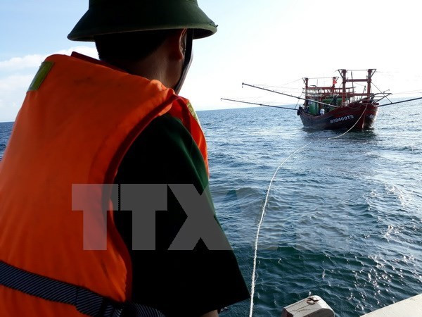 Rescatan a marineros de barco naufragado en aguas de Vietnam ảnh 1 Rescatan a marineros de barco naufragado en aguas de Vietnam ảnh 1