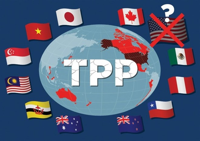 Jefes de delegaciones de negociaciones del TPP se reúnen en Japón ảnh 1 Jefes de delegaciones de negociaciones del TPP se reúnen en Japón ảnh 1