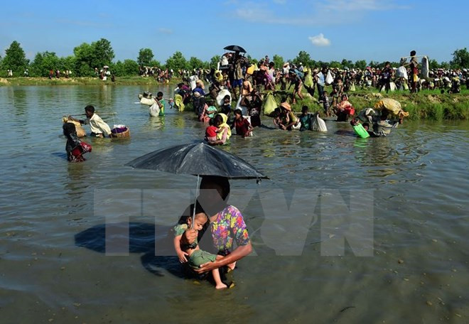 Myanmar otorga más de siete mil tarjetas de identidad en Rakhine ảnh 1 Myanmar otorga más de siete mil tarjetas de identidad en Rakhine ảnh 1