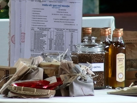 Hoi An diseña marca turística con productos derivados de planta local ảnh 2