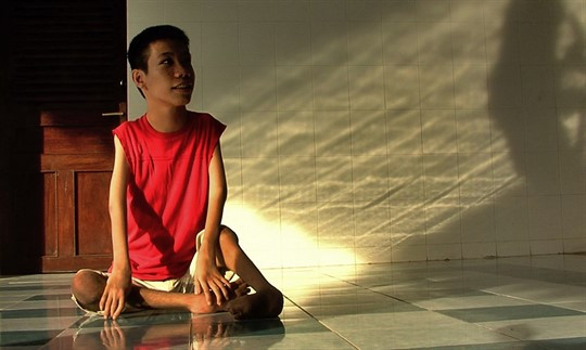 Documental sobre víctima vietnamita de dioxina nominado a Óscar ảnh 2 Documental sobre víctima vietnamita de dioxina nominado a Óscar ảnh 2