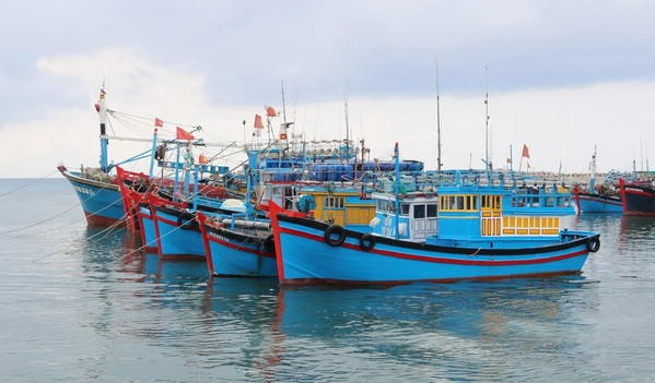 Busca Vietnam detener por completo pesca ilegal en aguas extranjeras ảnh 1 Busca Vietnam detener por completo pesca ilegal en aguas extranjeras ảnh 1