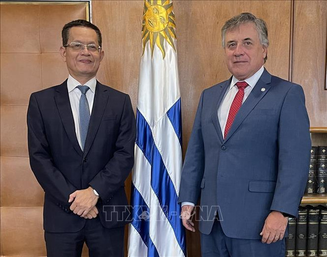 Vietnam y Uruguay fortalecen cooperación ảnh 1 Vietnam y Uruguay fortalecen cooperación ảnh 1