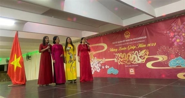 Vietnamitas en Ultramar celebran Fiesta del Nuevo Año Lunar ảnh 1