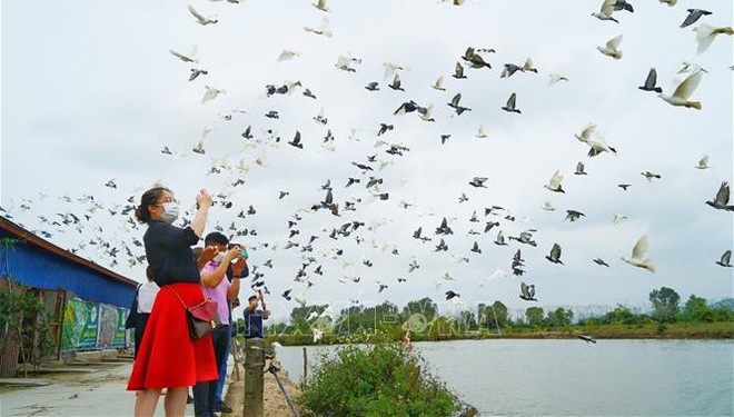 Vietnam promueve el desarrollo de la industria cultural ảnh 1 Vietnam promueve el desarrollo de la industria cultural ảnh 1