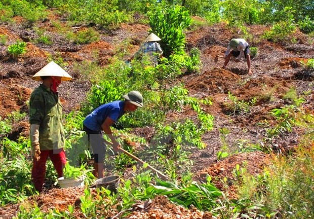 Promueven en Vietnam participación comunitaria en evaluación de impactos ambientales ảnh 1 Promueven en Vietnam participación comunitaria en evaluación de impactos ambientales ảnh 1