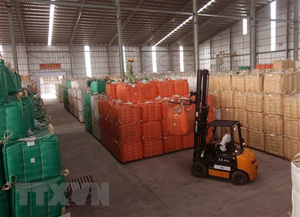 Exportaciones agrícolas de Vietnam apuntan a alcanzar 40 mil millones de dólares ảnh 1 Exportaciones agrícolas de Vietnam apuntan a alcanzar 40 mil millones de dólares ảnh 1