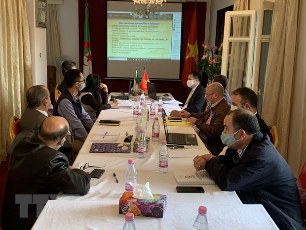 Impulsan intercambio entre Vietnam y Argelia ảnh 1 Impulsan intercambio entre Vietnam y Argelia ảnh 1