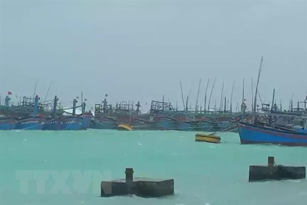 Exhortan en Vietnam a controlar y garantizar seguridad de barcos ante supertifón Goni ảnh 1 Exhortan en Vietnam a controlar y garantizar seguridad de barcos ante supertifón Goni ảnh 1