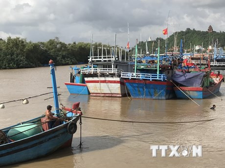 Tifón Goni avanza hacia la costa vietnamita ảnh 1