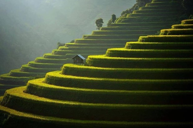 Mu Cang Chai elegido en el top 50 destinos más bellos del mundo en 2020 ảnh 1 Mu Cang Chai elegido en el top 50 destinos más bellos del mundo en 2020 ảnh 1