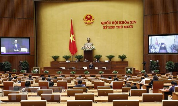 Legisladores vietnamitas proponen recuperar superficie de bosques naturales destruidos ảnh 1 Legisladores vietnamitas proponen recuperar superficie de bosques naturales destruidos ảnh 1