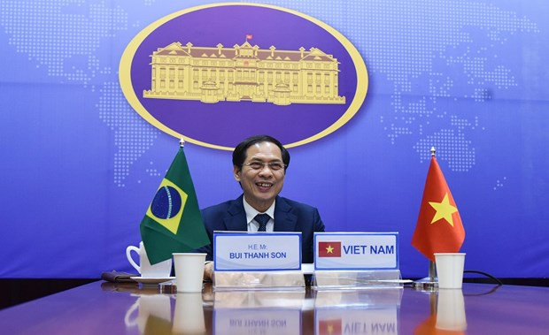 Brasil, mayor socio comercial de Vietnam en América Latina y con récord de transacciones ảnh 1 Brasil, mayor socio comercial de Vietnam en América Latina y con récord de transacciones ảnh 1