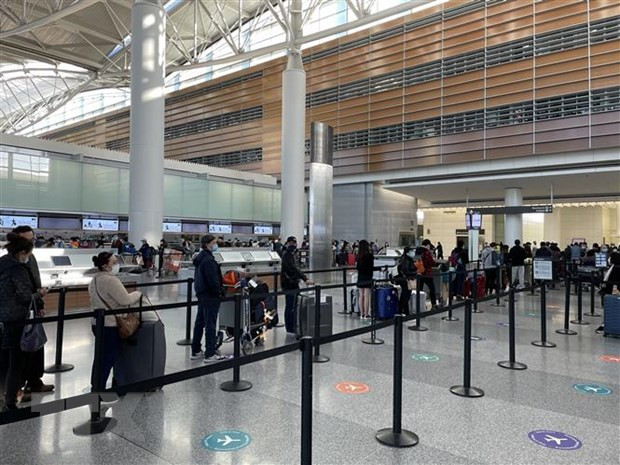 Regresan a tierra natal 360 vietnamitas en Estados Unidos y Japón ảnh 1 Regresan a tierra natal 360 vietnamitas en Estados Unidos y Japón ảnh 1