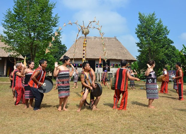 Efectúan actividades culturales para promover la gran unidad de Vietnam ảnh 1 Efectúan actividades culturales para promover la gran unidad de Vietnam ảnh 1