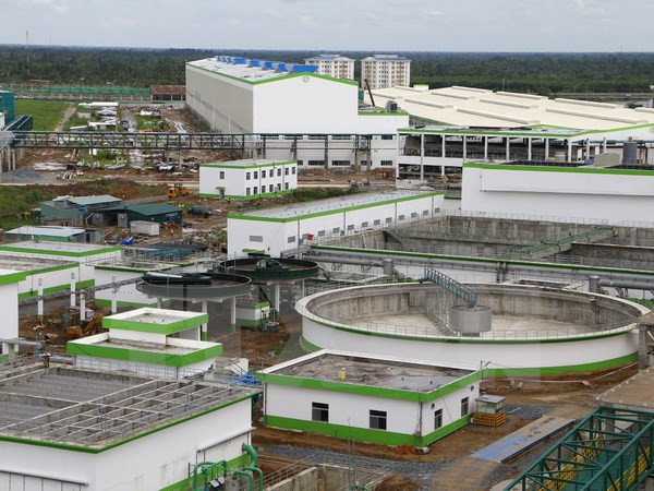 Vietnam y Estados Unidos exploran oportunidad de cooperación en bioenergía ảnh 1 Vietnam y Estados Unidos exploran oportunidad de cooperación en bioenergía ảnh 1