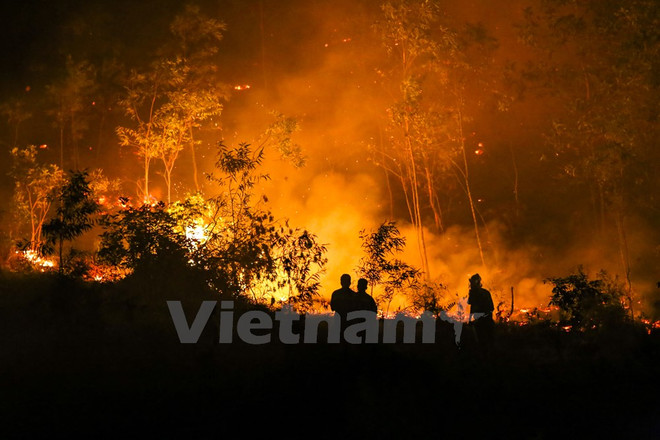 Provincia vietnamita refuerza labores contra incendios forestales ảnh 1 Provincia vietnamita refuerza labores contra incendios forestales ảnh 1