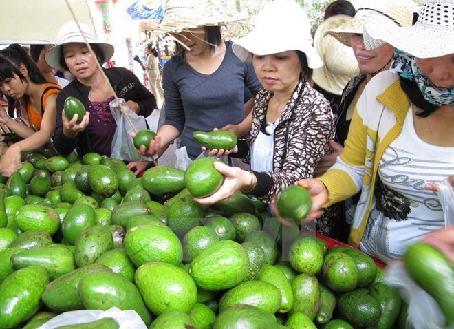 Inauguran en Vietnam festival de frutas de provincias sureñas ảnh 1
