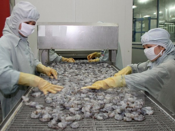 Australia alivia medida de suspensión de importaciones de camarón de Vietnam ảnh 1